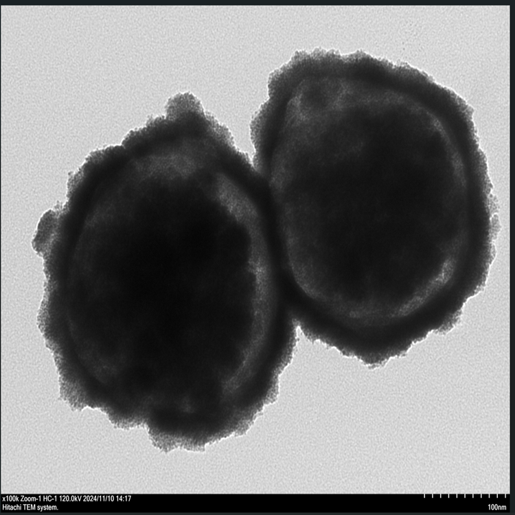 蛋黃狀磁性中空介孔二氧化鈰